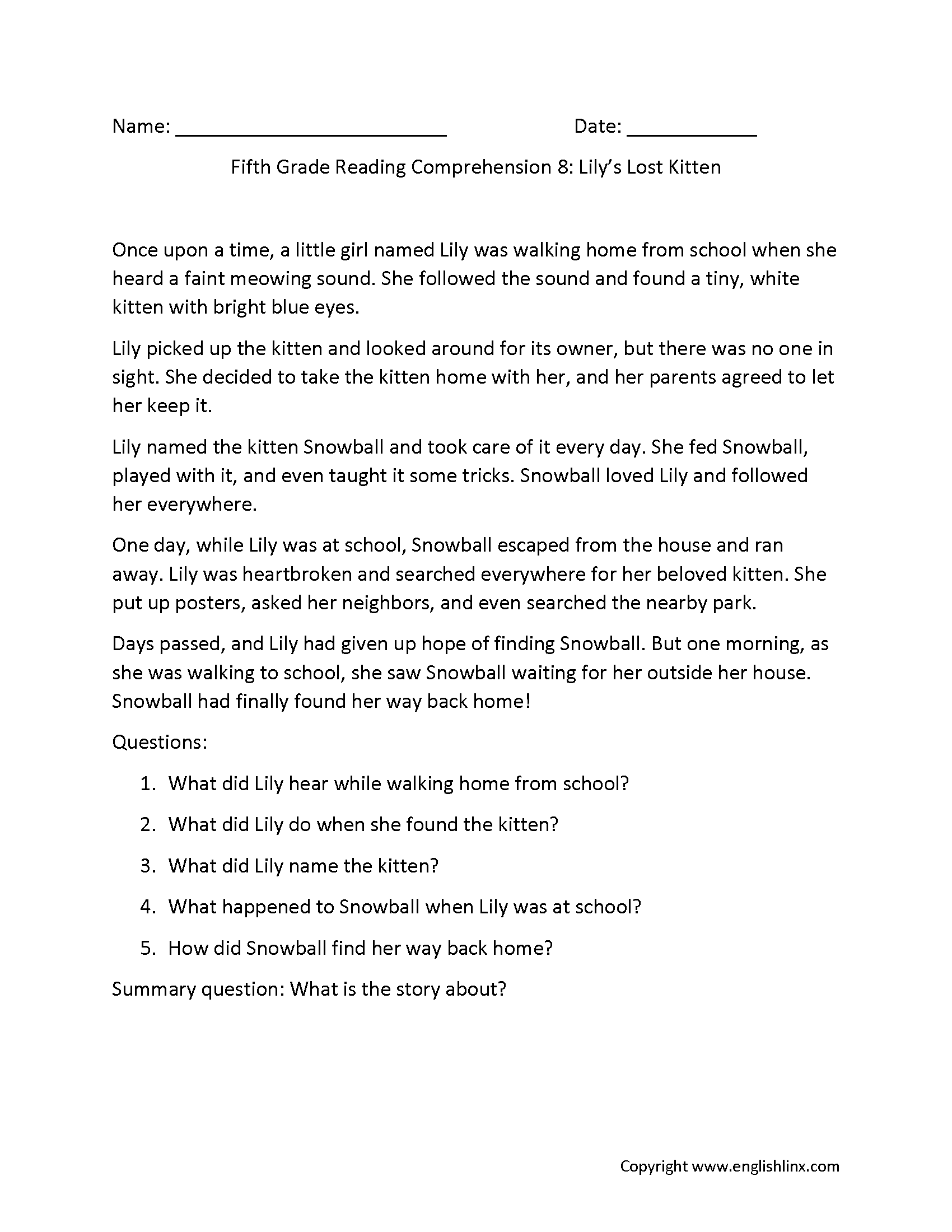 Reading And Comprehension Worksheets 5th Grade