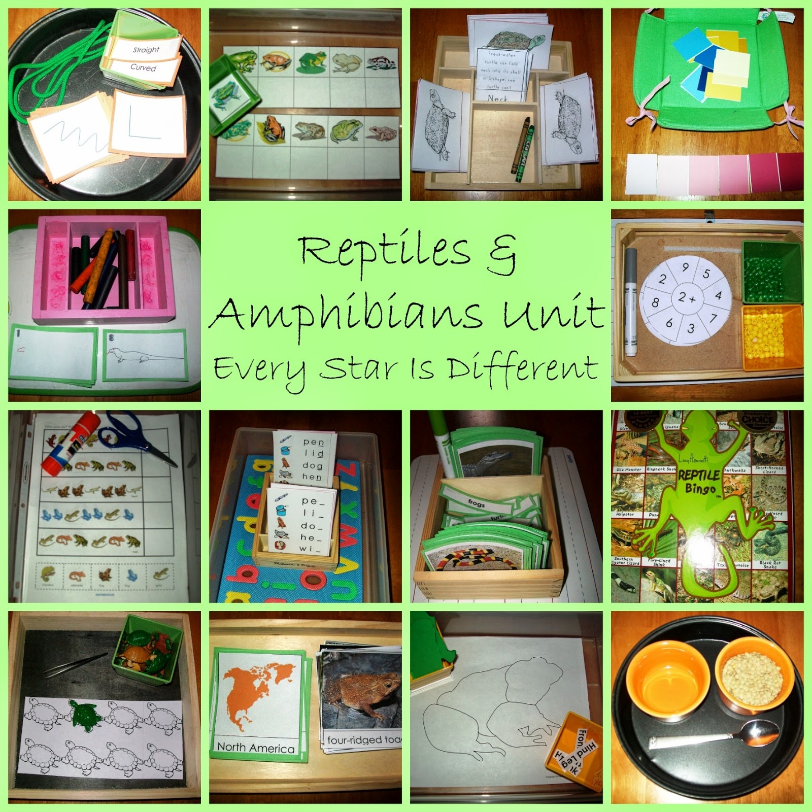 Reptiles Amphibians Unit With FREE Printables Every Star Is Different