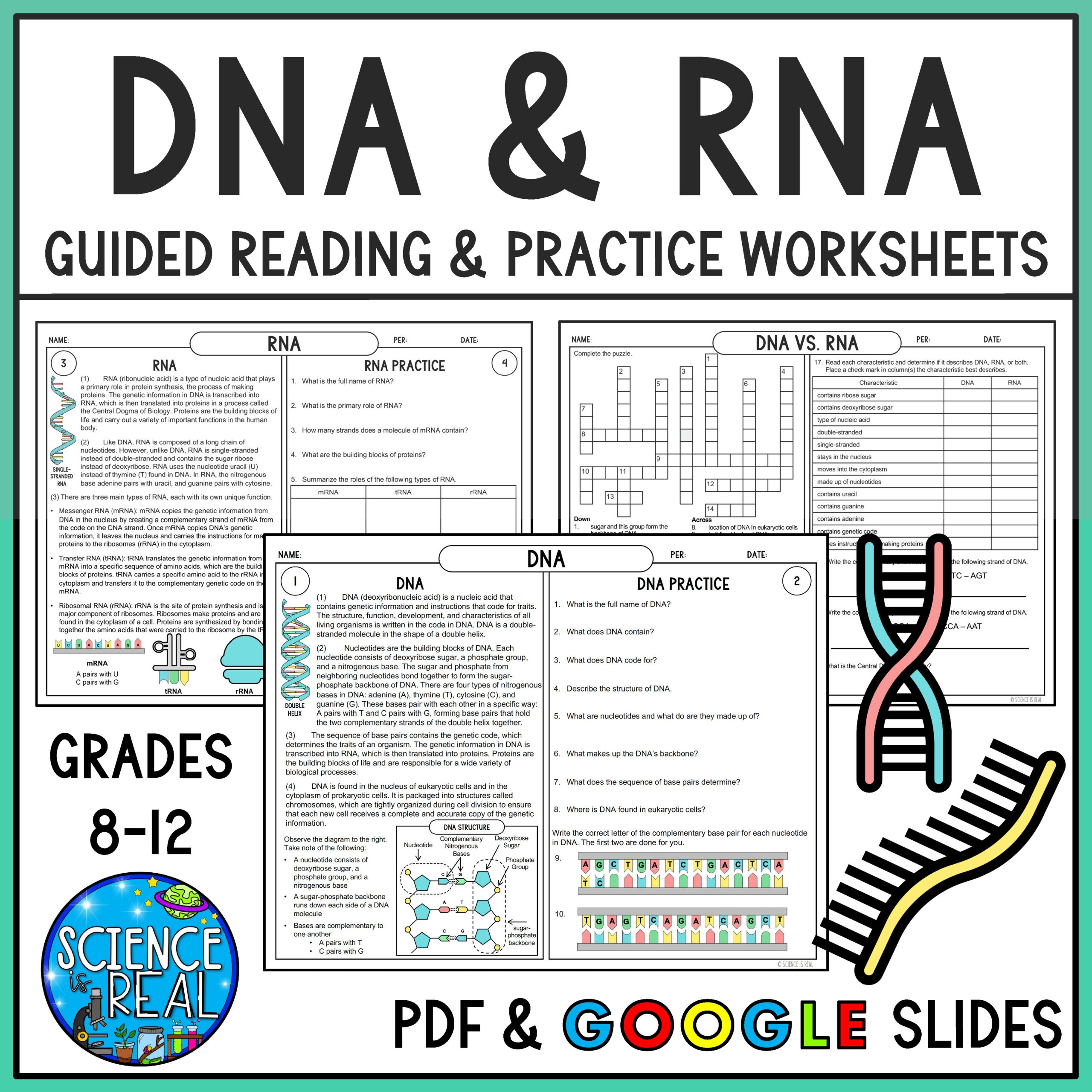 RNA And DNA Reading Comprehension And Worksheets Classful RNA And DNA Reading Comprehension And Worksheets Classful
