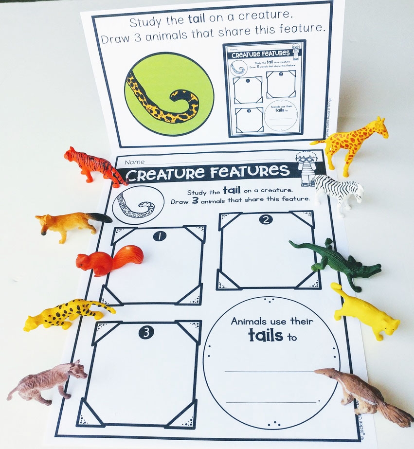 Science Center Activities That Your Kiddos Will Love Roots And Wings