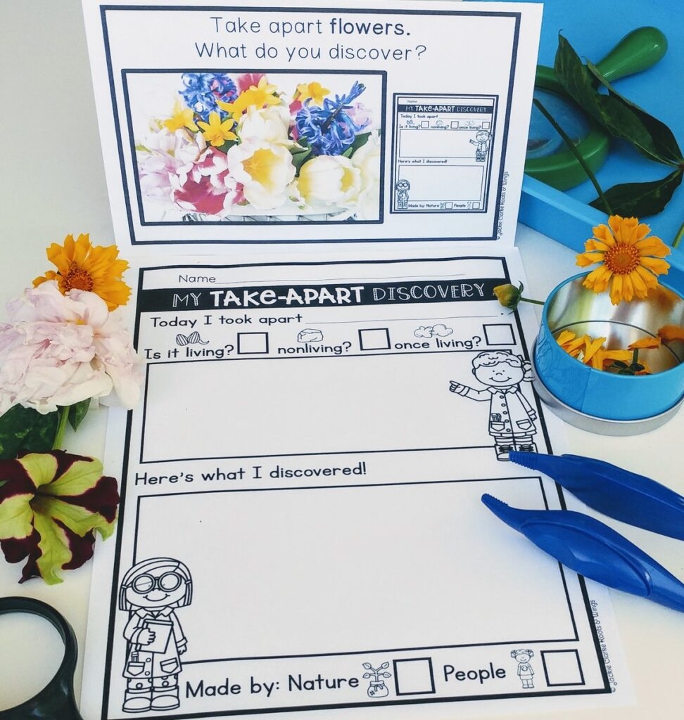 Science Center Activities That Your Kiddos Will Love Roots And Wings