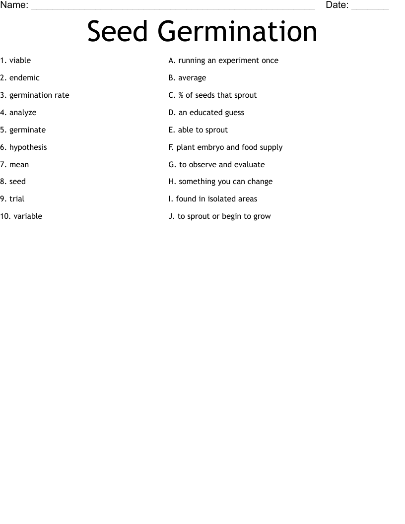 Seed Germination Worksheet WordMint