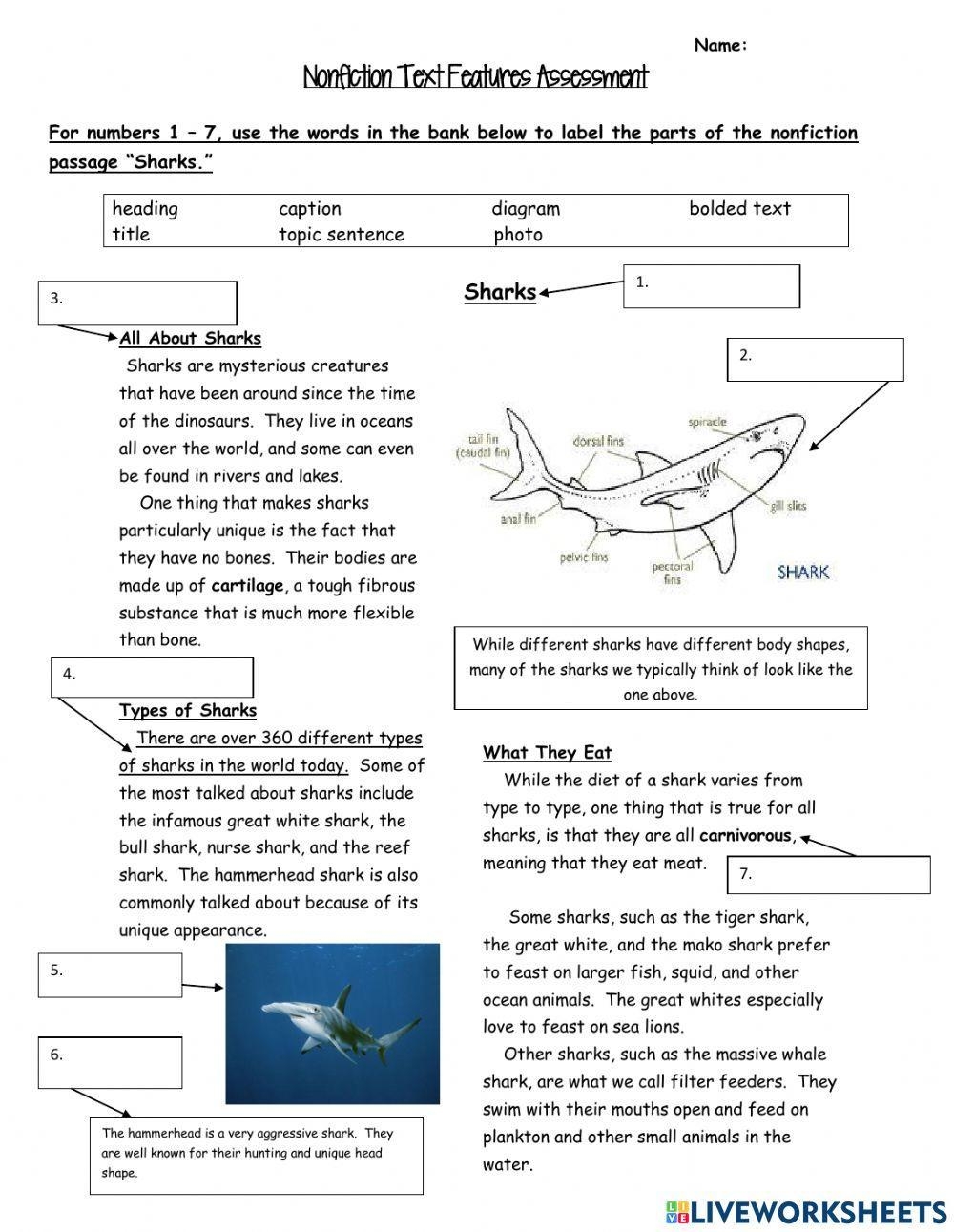 Sharks Nonfiction Text Features Worksheet Live Worksheets Worksheets Library