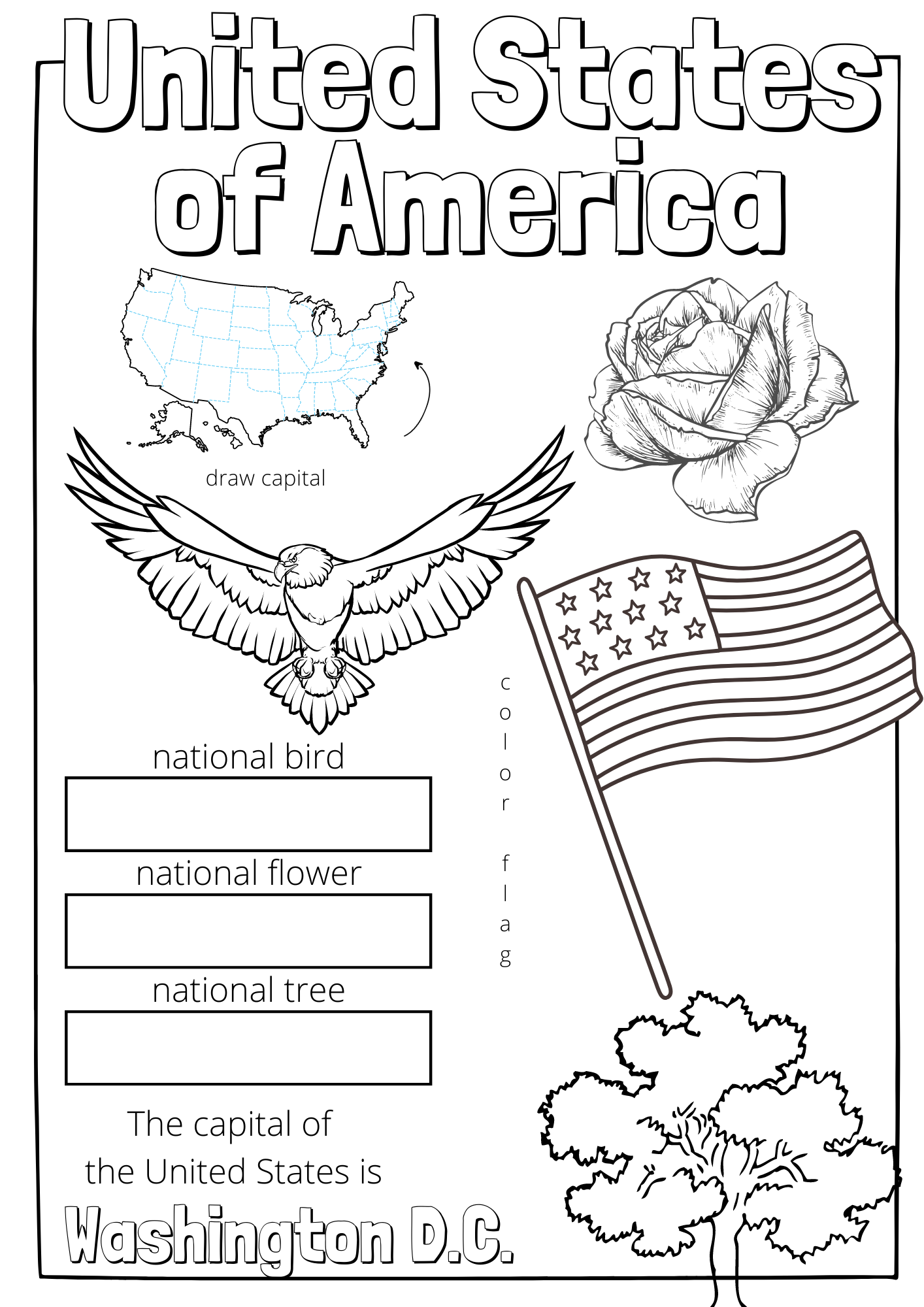 United States Of America Unit Study Packet Tiaras Tantrums United States Of America Unit Study Packet Tiaras Tantrums