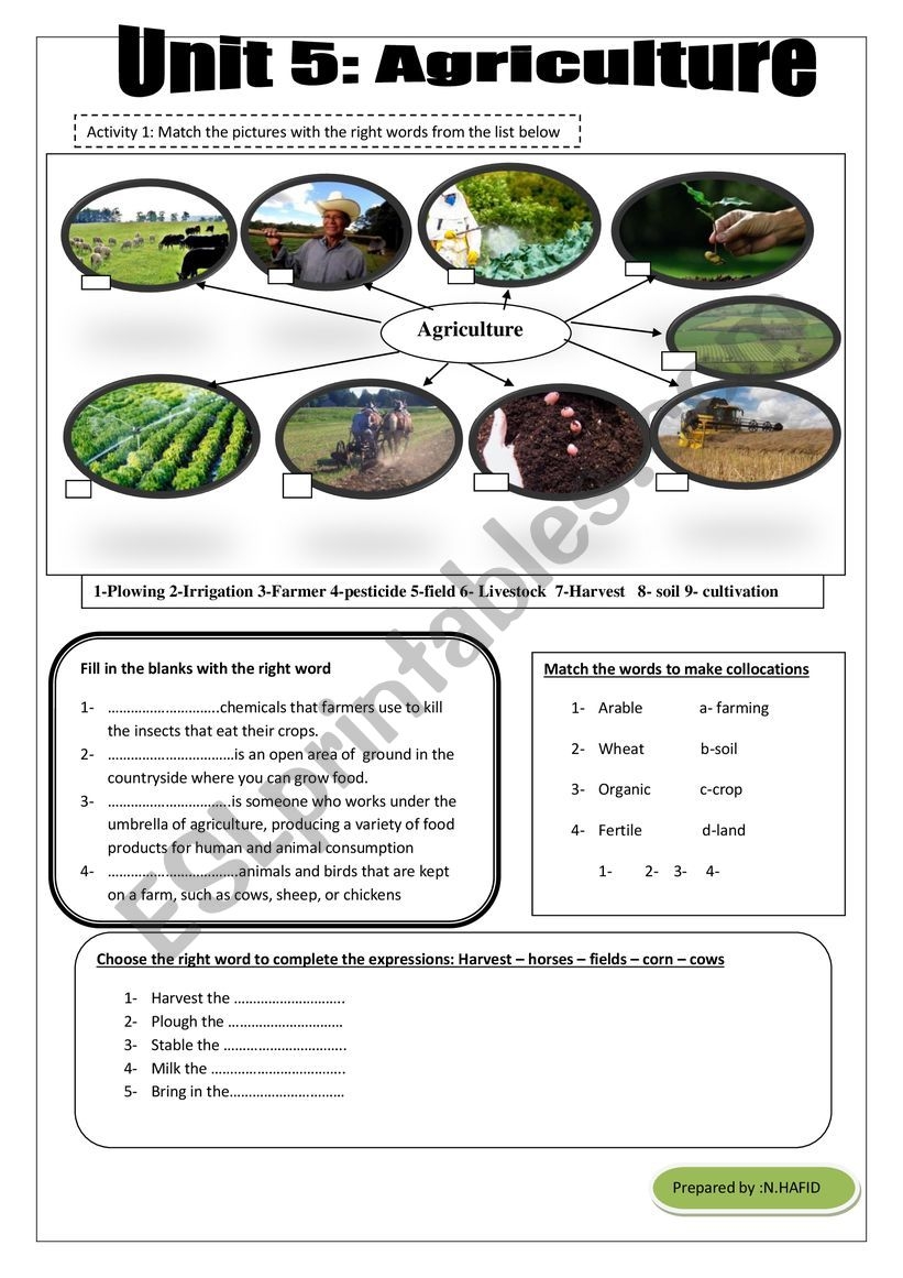 Vocabulary Related To Agriculture ESL Worksheet By Abdonid Vocabulary Related To Agriculture ESL Worksheet By Abdonid
