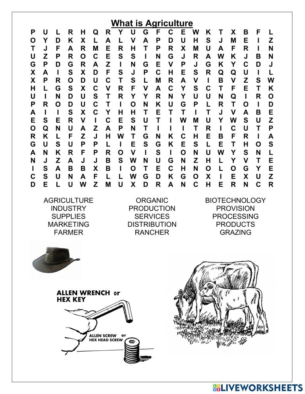 What Is Agriculture Worksheet Worksheets Library What Is Agriculture Worksheet Worksheets Library