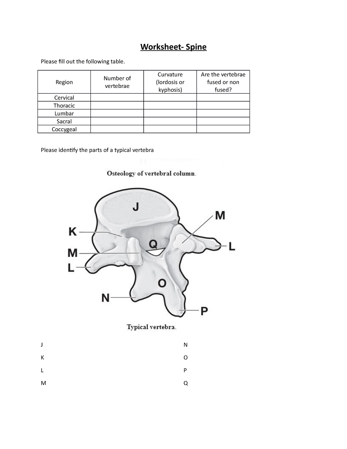 Worksheet Spine Labels Worksheet Spine Please Fill Out The Worksheets Library