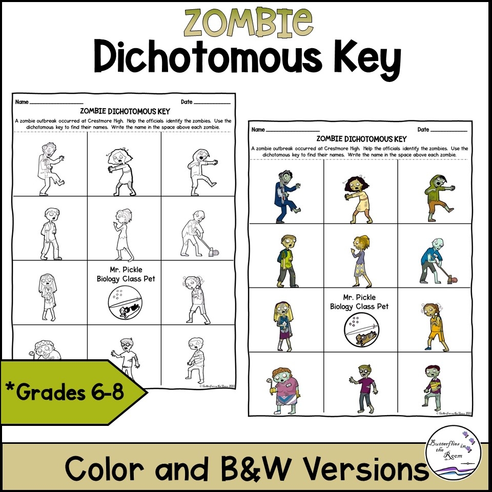 Printable Dichotomous Key Worksheet Printable Dichotomous Key Worksheet
