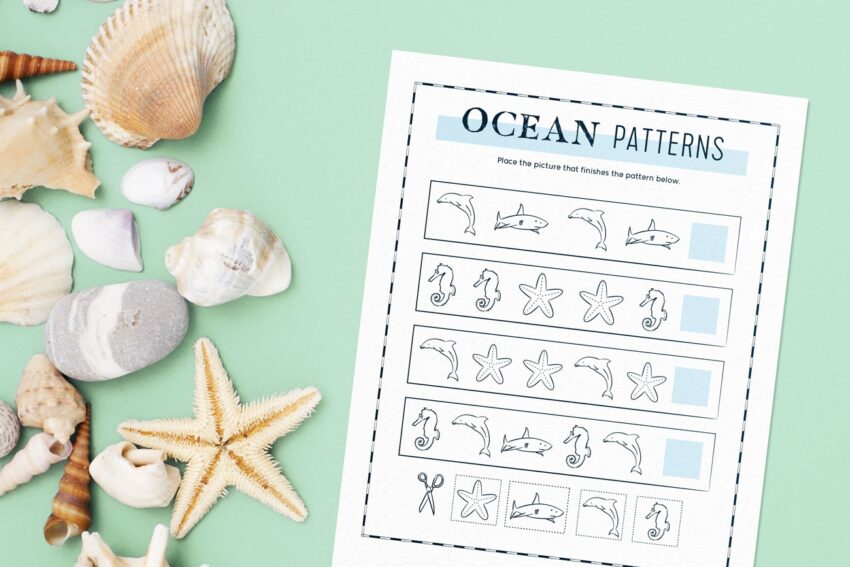 10 Educational Ocean Activities For Kids FloridaPanhandle