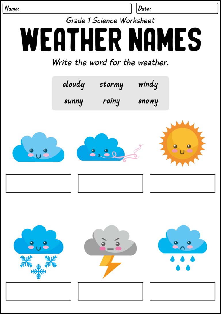 13 1st Grade Life Science Worksheets Free PDF At Worksheeto