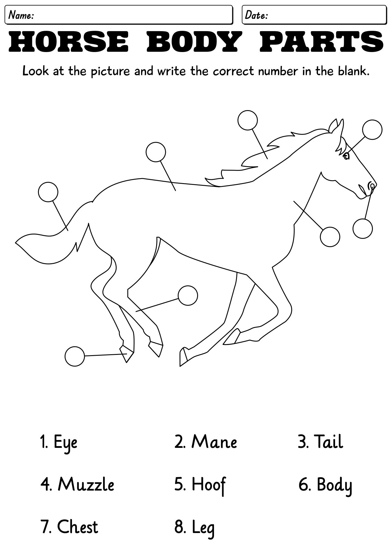 13 Points Of The Horse Worksheet Free PDF At Worksheeto 13 Points Of The Horse Worksheet Free PDF At Worksheeto