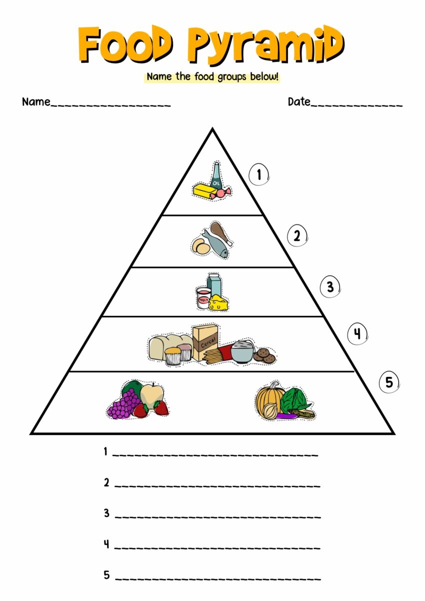 15 5 Food Groups Worksheet Free PDF At Worksheeto