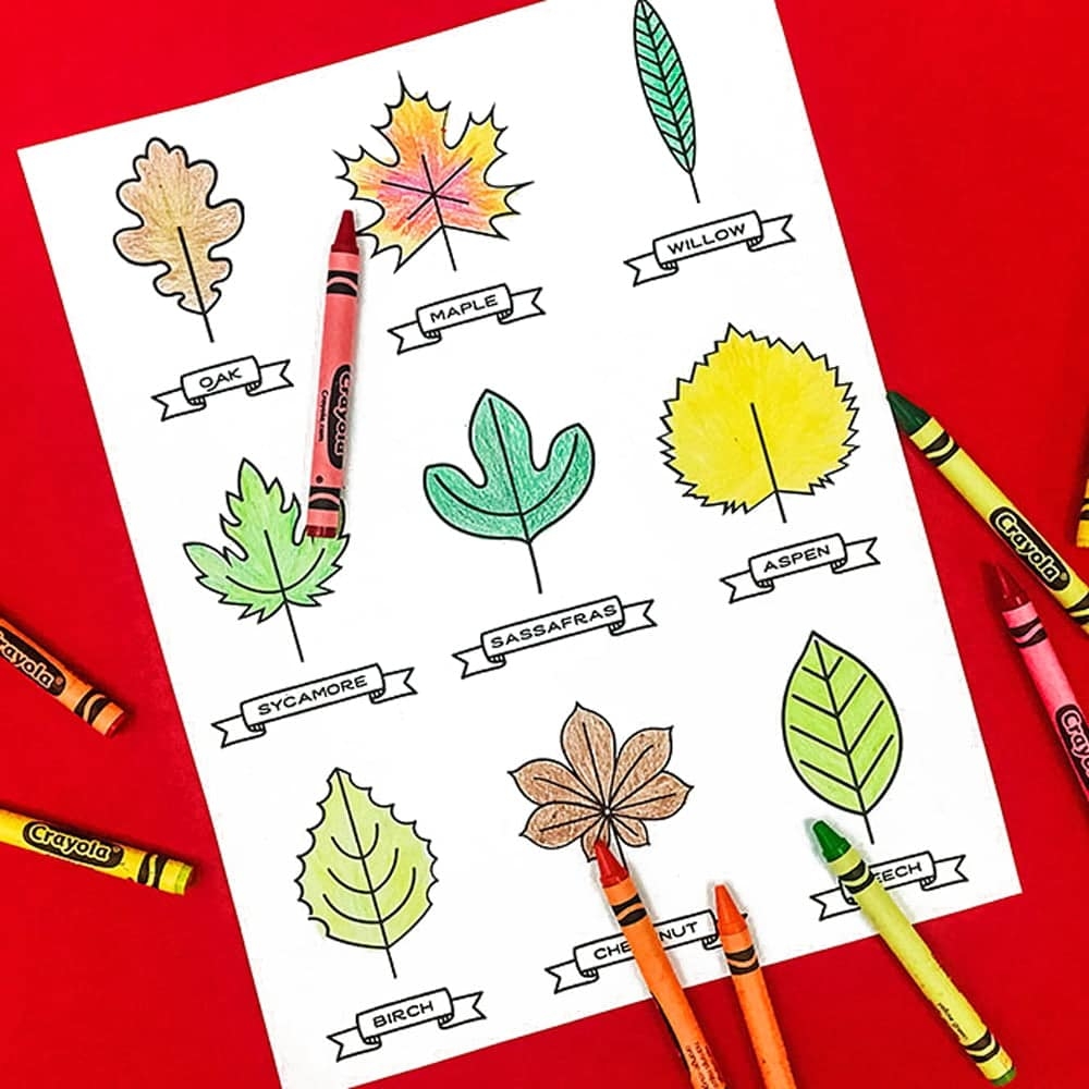 15 Paper Leaf Crafts For Kids With A Free Printable 