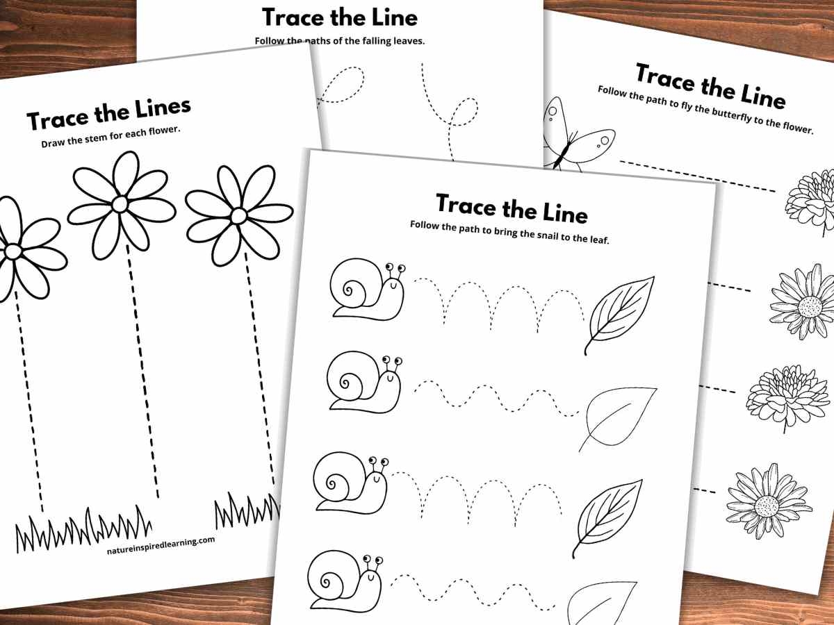 Free Printable Fall Line Tracing Worksheets Free Printable Fall Line Tracing Worksheets