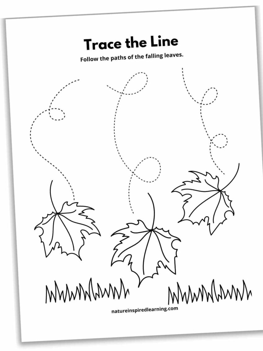 17 Line Tracing Worksheets Free Nature Inspired Learning