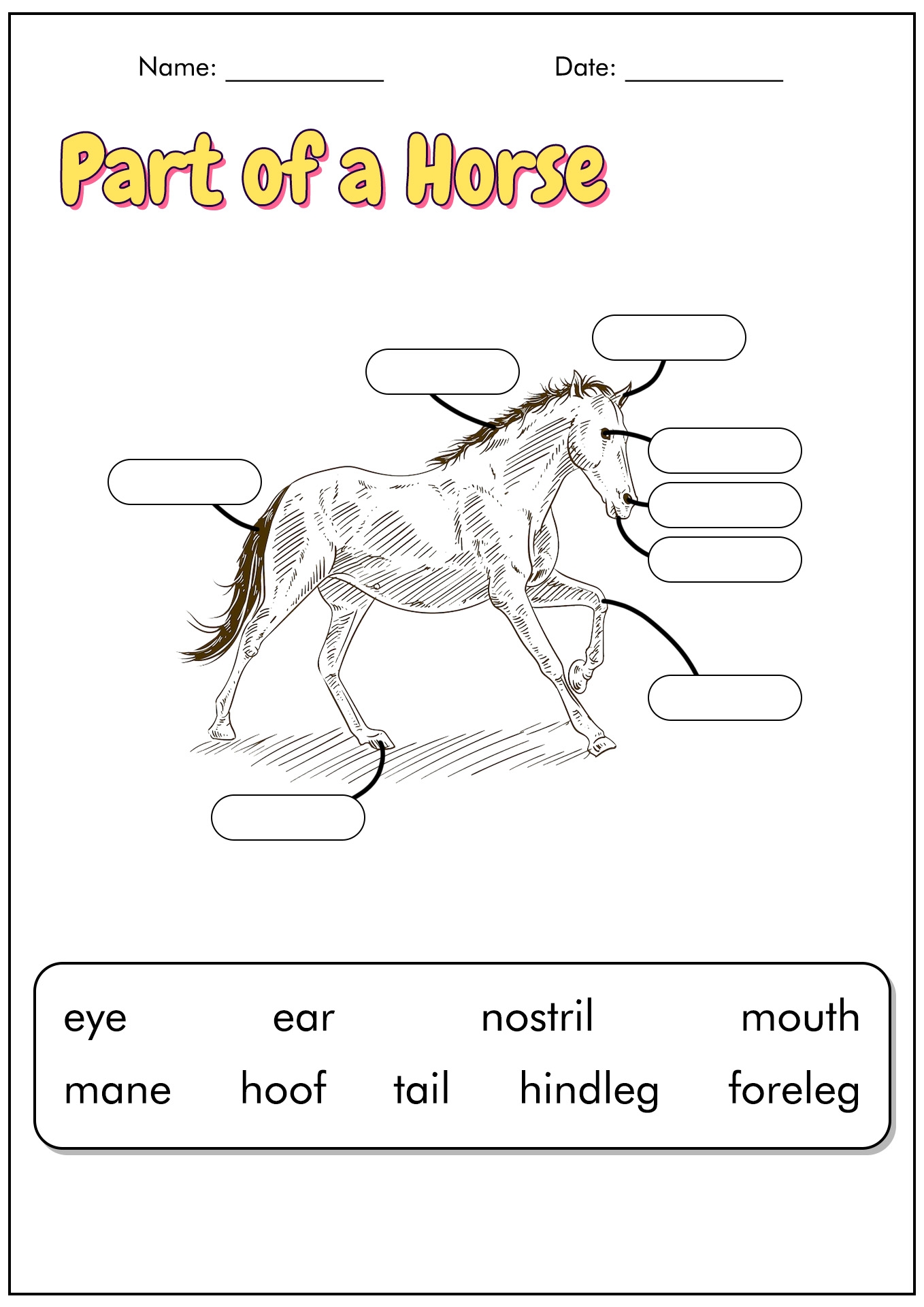 Horse Worksheets Printable Horse Worksheets Printable