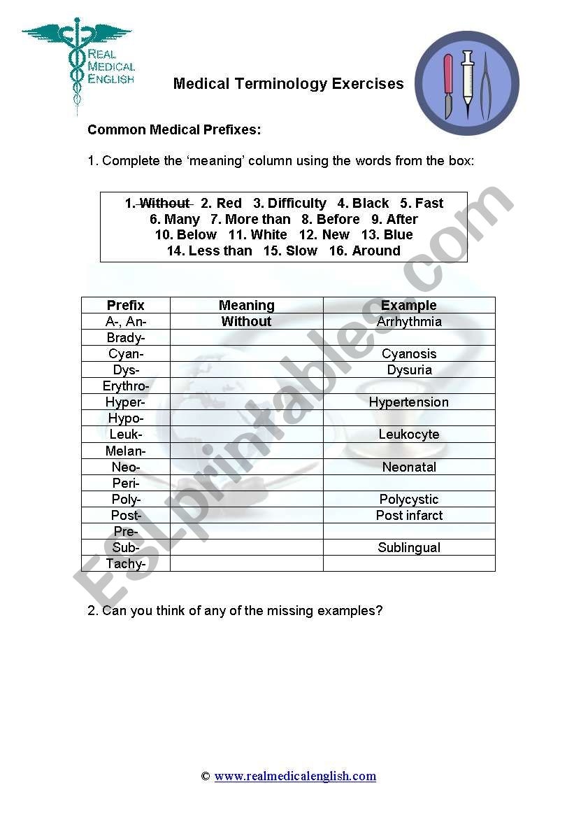 2 Medical Terminology Prefixes ESL Worksheet By Realmedicalenglish 2 Medical Terminology Prefixes ESL Worksheet By Realmedicalenglish