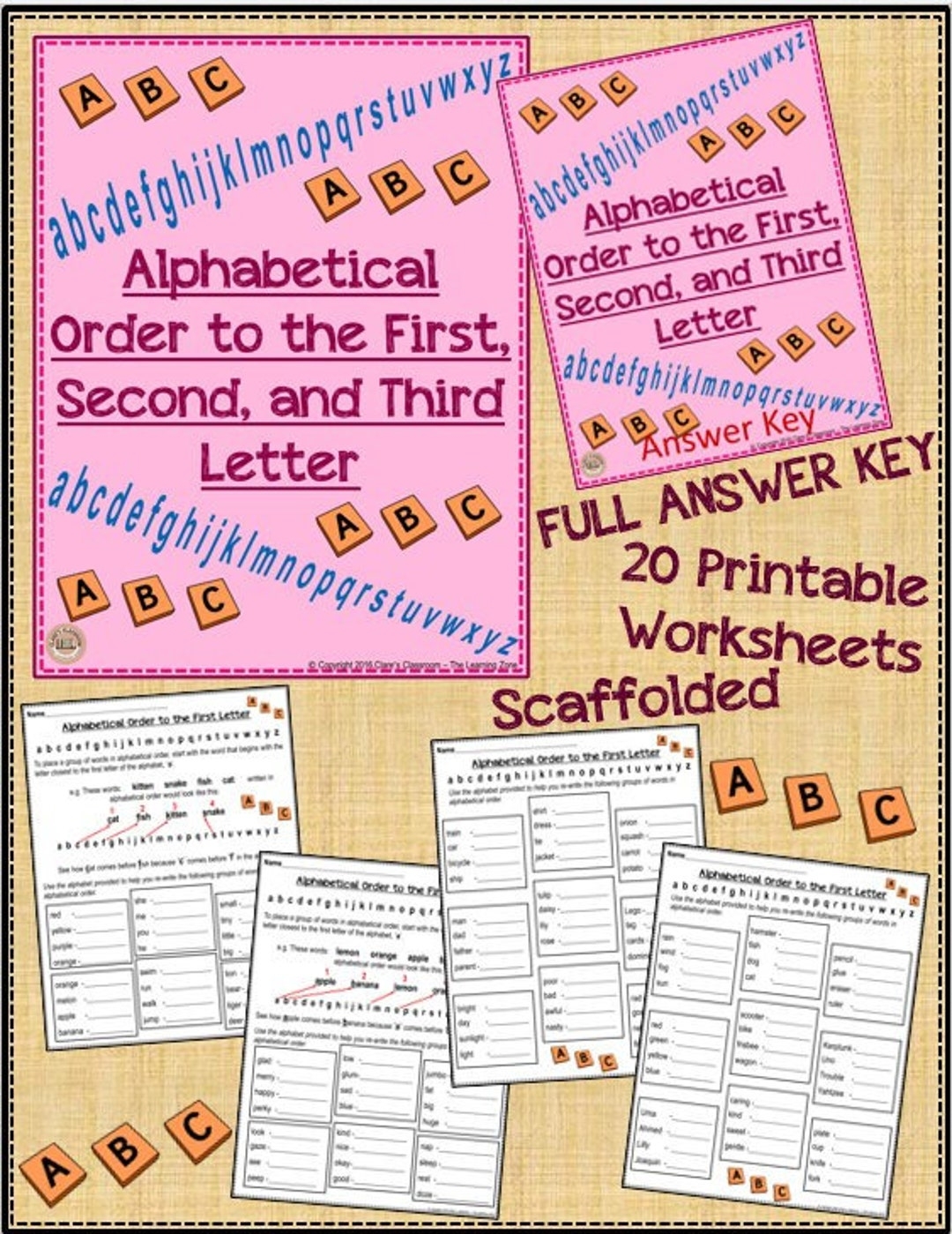 20 Alphabetizing To The First Second And Third Letter Worksheets With Answer Key Etsy