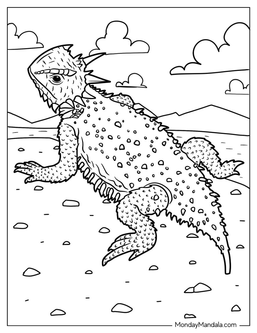 24 Lizard Coloring Pages Free PDF Printables 