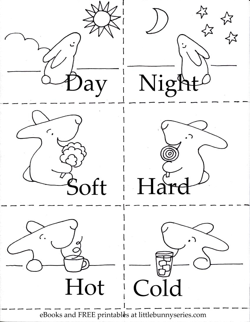 3 And 1 Printables Little Bunny Series 3 And 1 Printables Little Bunny Series