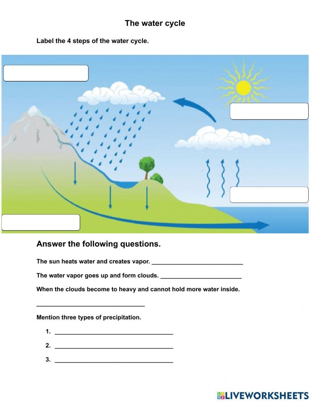 4 Steps Water Cycle Worksheet Worksheets Library