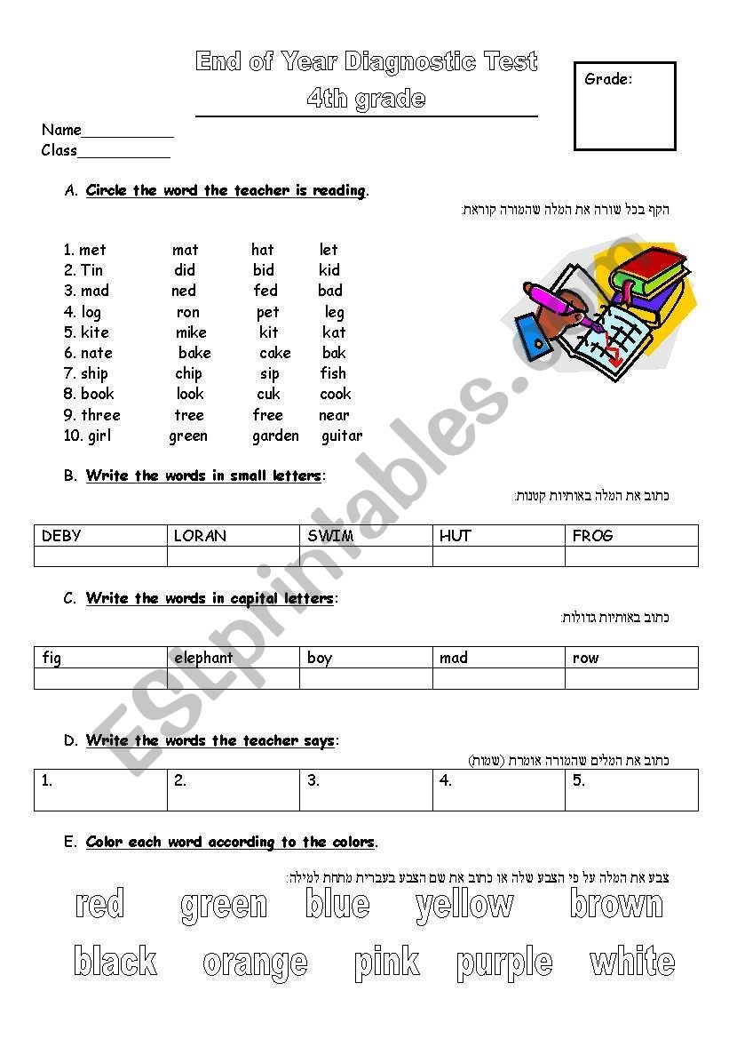 4th Grade Final Test ESL Worksheet By Ygalfl