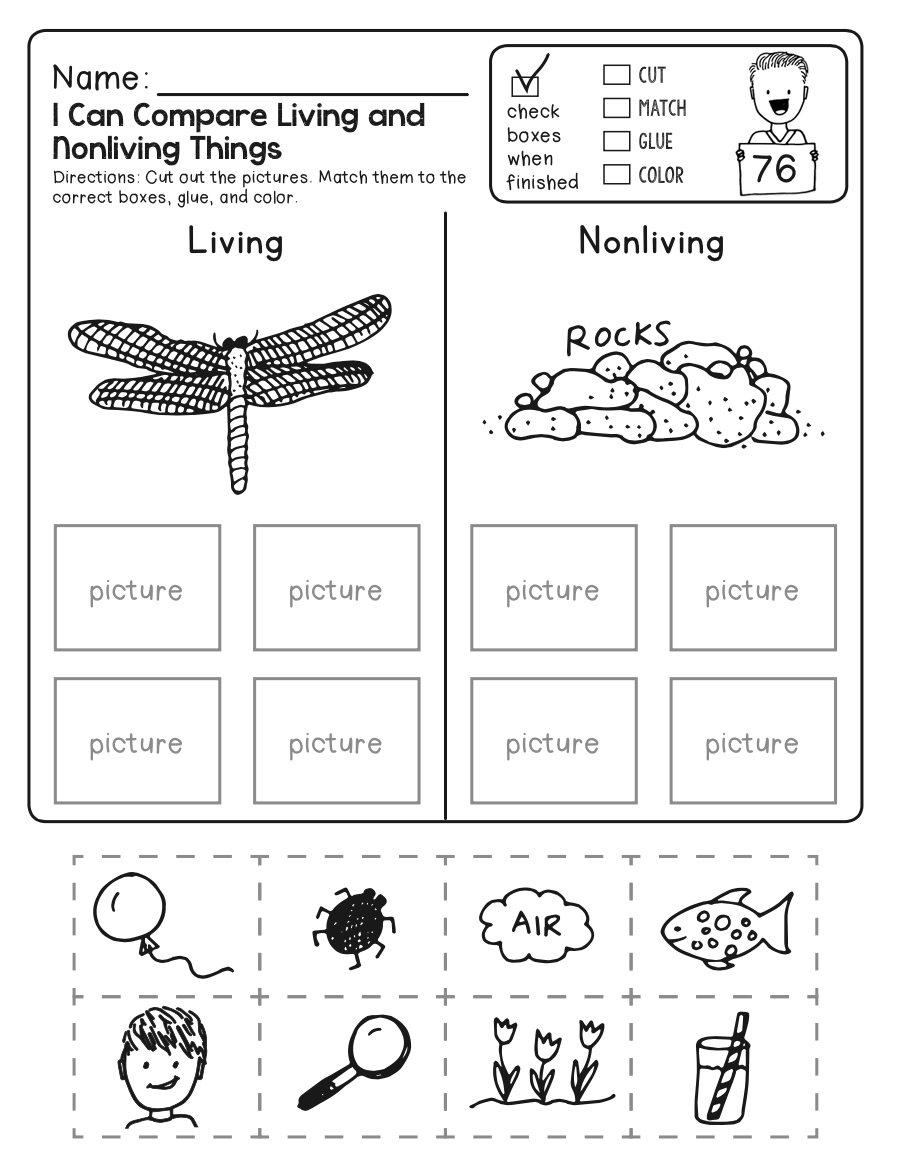 4th Grade Science Worksheets Best Coloring Pages For Kids Worksheets Library