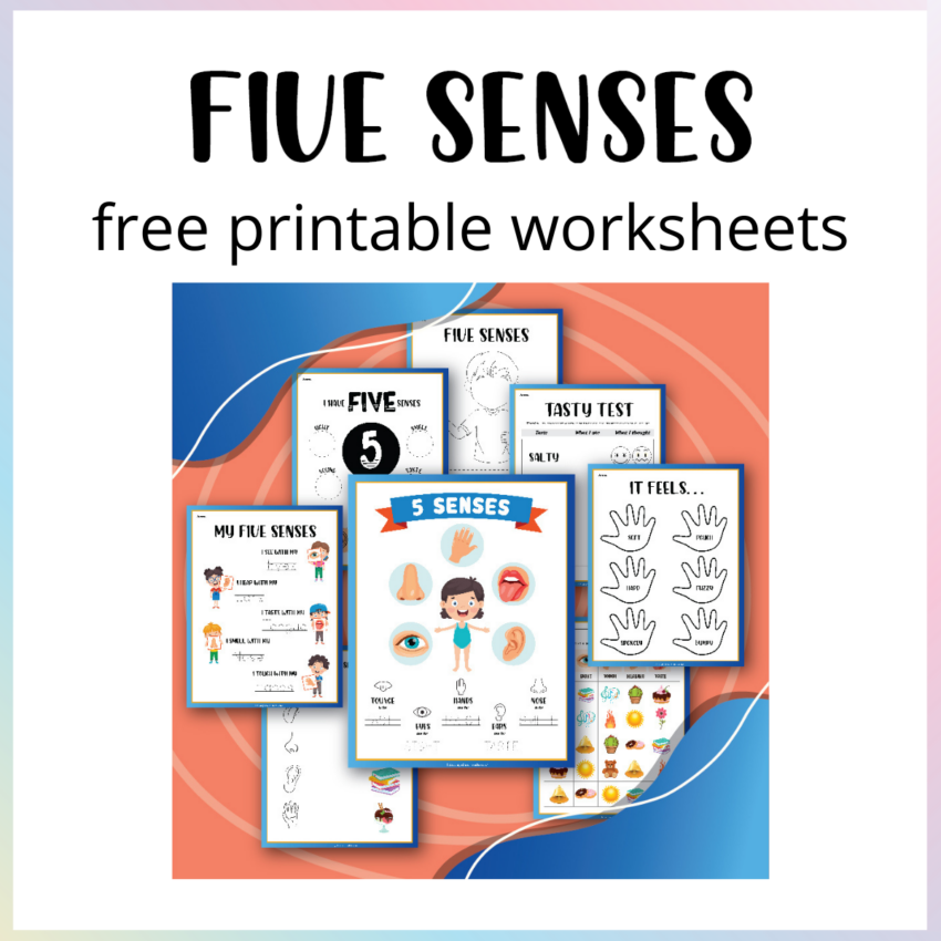 5 Senses Worksheets For Preschool And Kindergarten Free