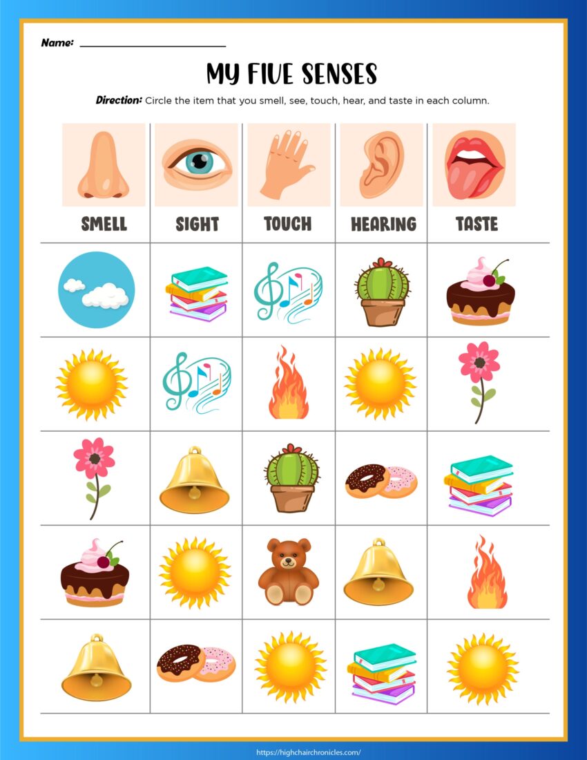 5 Senses Worksheets For Preschool And Kindergarten Free Printable High Chair Chronicles
