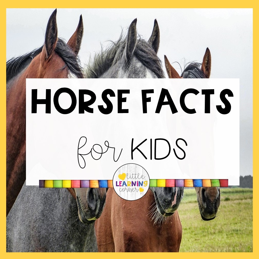 Interesting Horse Facts Free Printable Worksheet Interesting Horse Facts Free Printable Worksheet