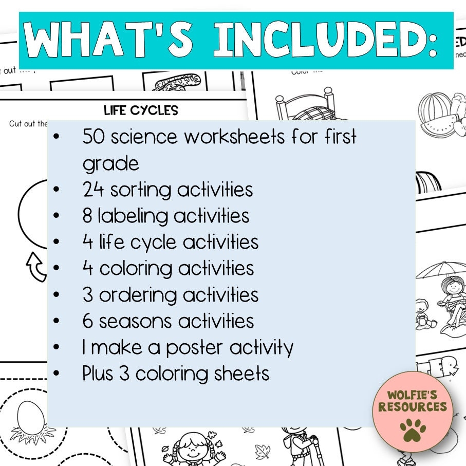 50 Science Printable Worksheets For First Grade And Homeschool Etsy