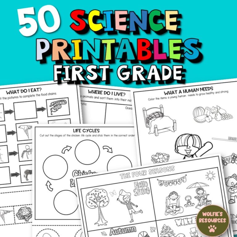 50 Science Printable Worksheets For First Grade And Homeschool Etsy