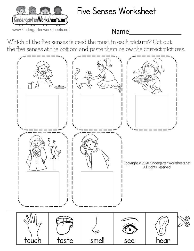 66 Science Worksheets And More Ideas Science Worksheets 66 Science Worksheets And More Ideas Science Worksheets