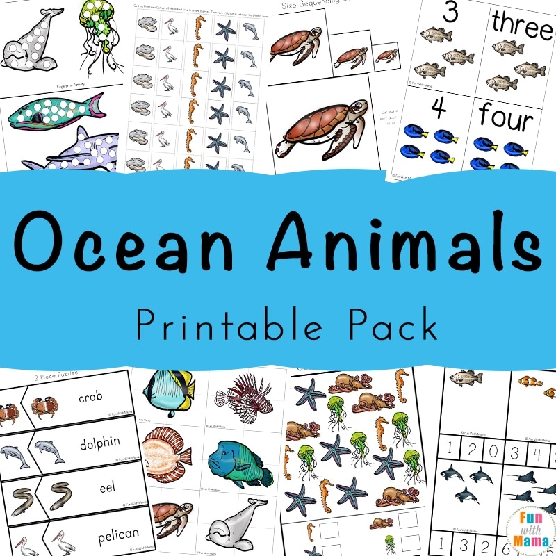 Ocean Printables For Preschoolers Ocean Printables For Preschoolers