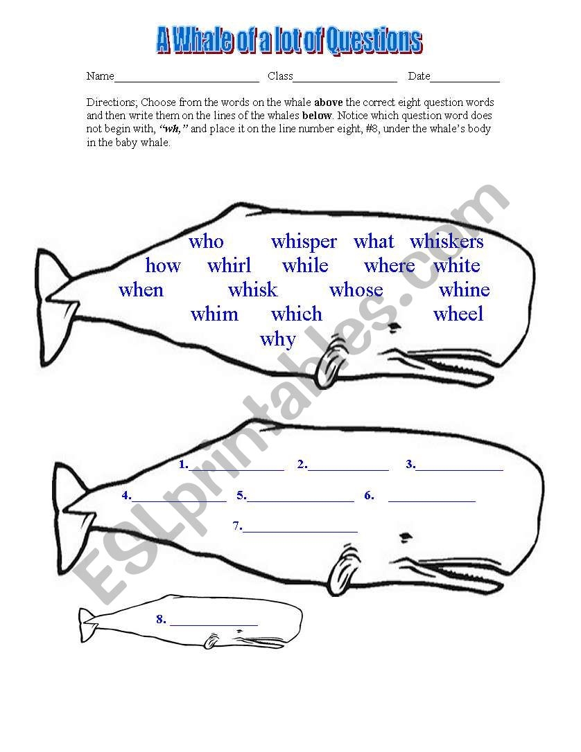 A Whale Of A Lot Of Questions ESL Worksheet By Novabird1