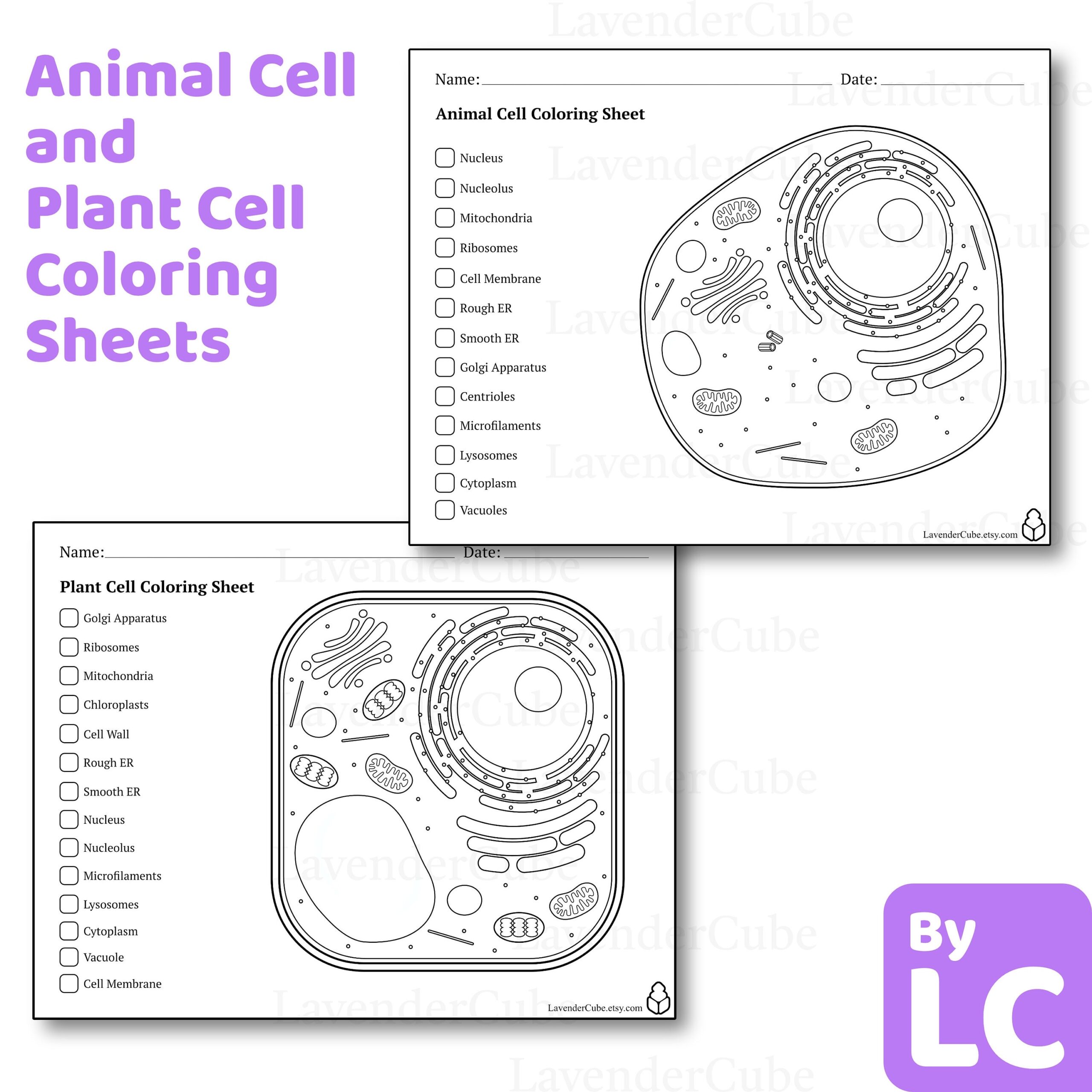 Free Printable Worksheets On Animal Cells Free Printable Worksheets On Animal Cells