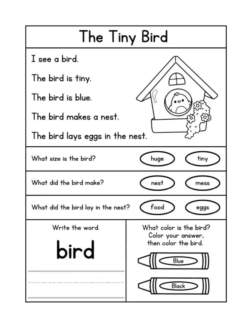 ANIMAL Reading Comprehension Worksheets Kindergarten Reading Reading Passages With Questions First Grade Reading Second Grade Reading ANIMAL Reading Comprehension Worksheets Kindergarten Reading Reading Passages With Questions First Grade Reading Second Grade Reading