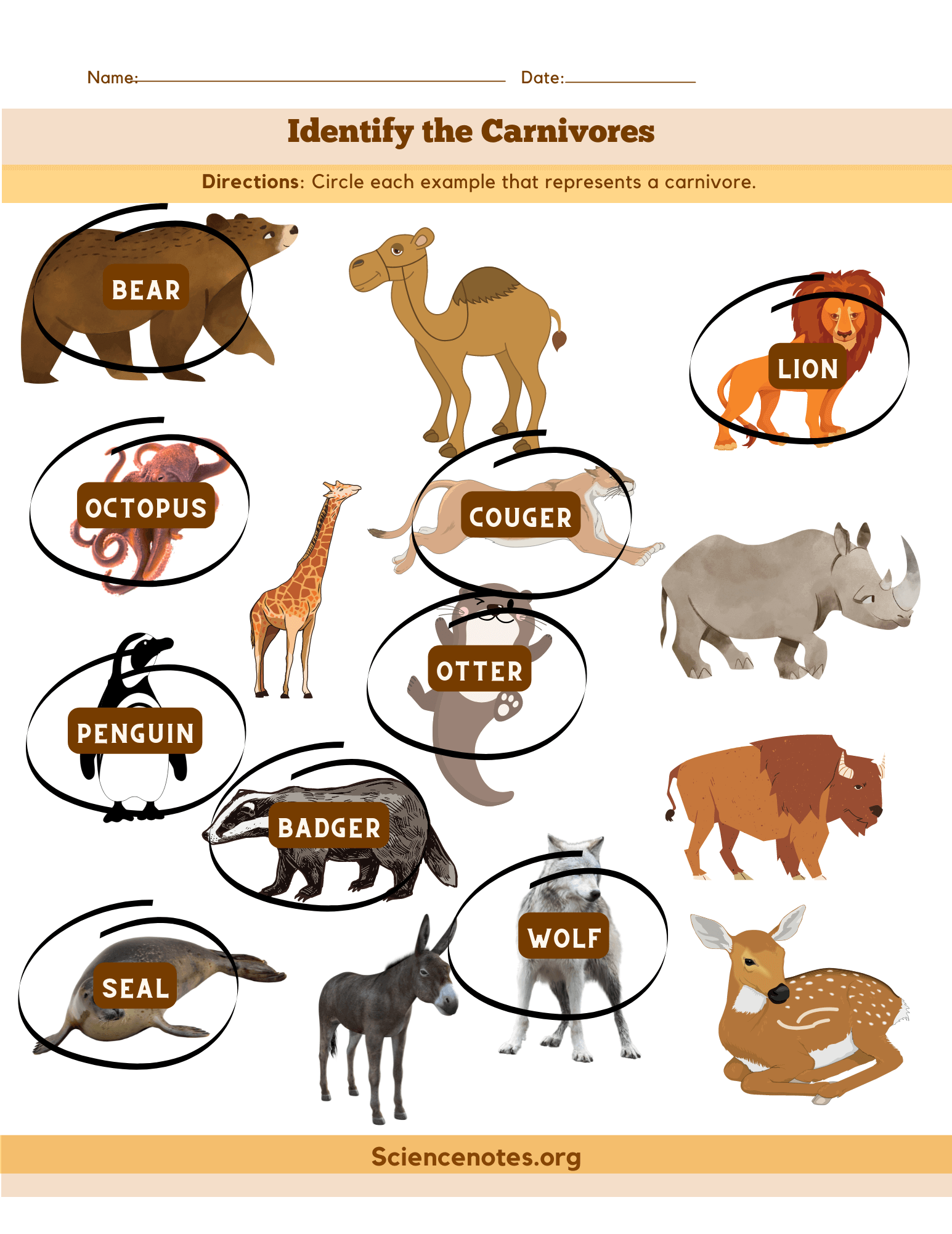 Animal Worksheets
