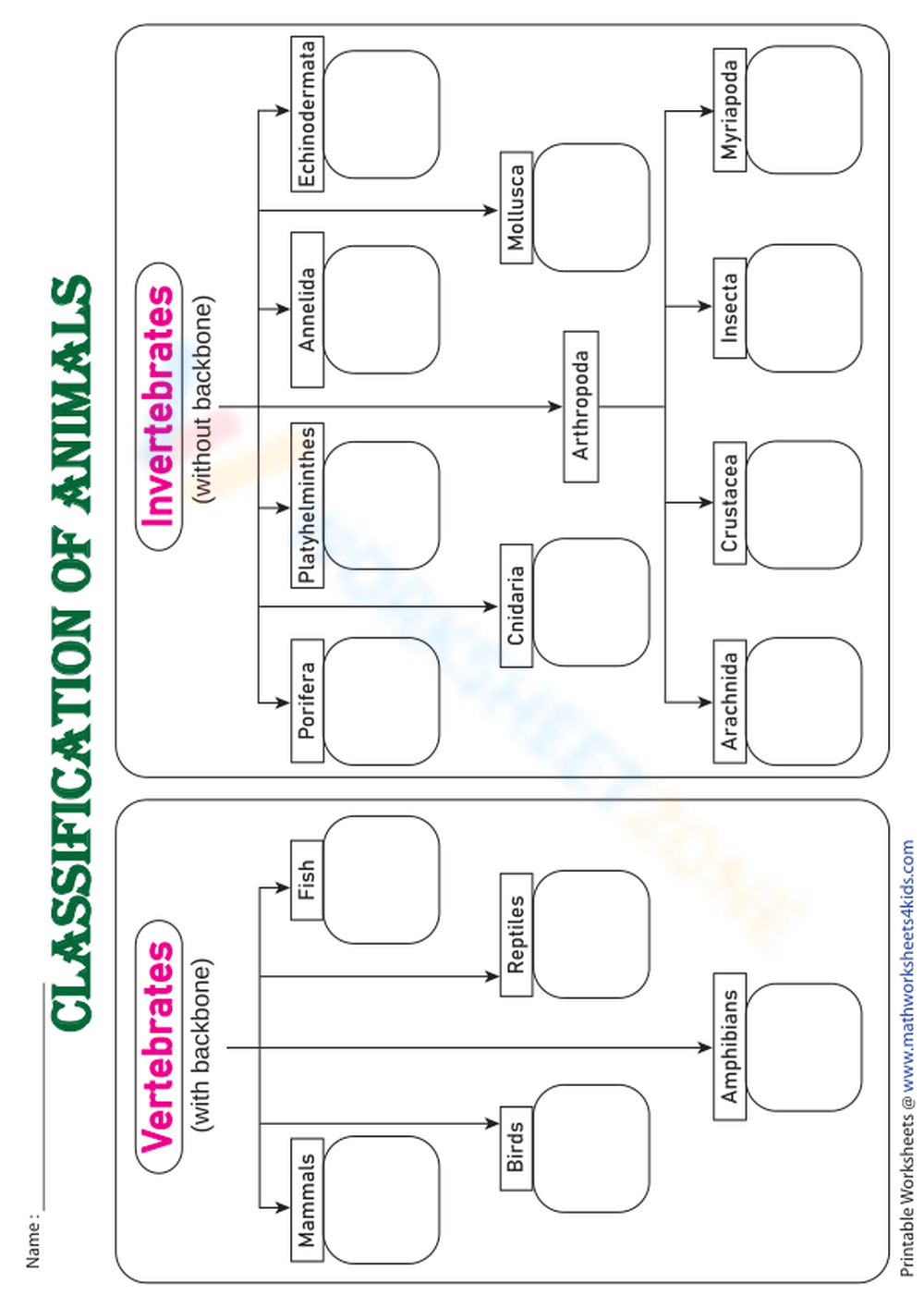Animals Classification Chart Graphic Organizer Worksheet Animals Classification Chart Graphic Organizer Worksheet