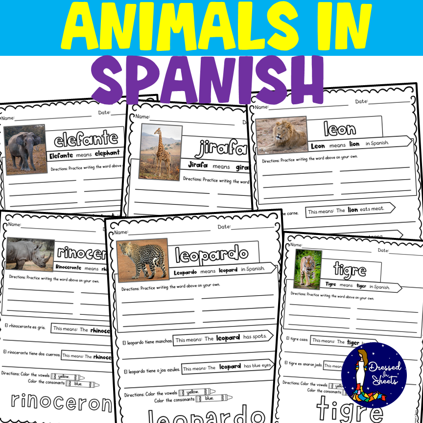 Free 6th Grade Spanish Worksheets