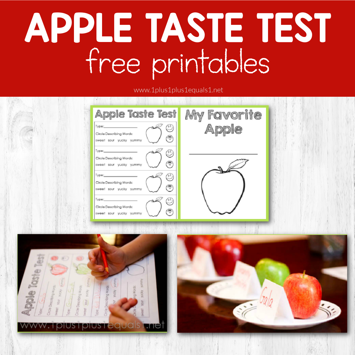 Apple Taste Test With Printables 1 1 1u003d1 Apple Taste Test With Printables 1 1 1u003d1