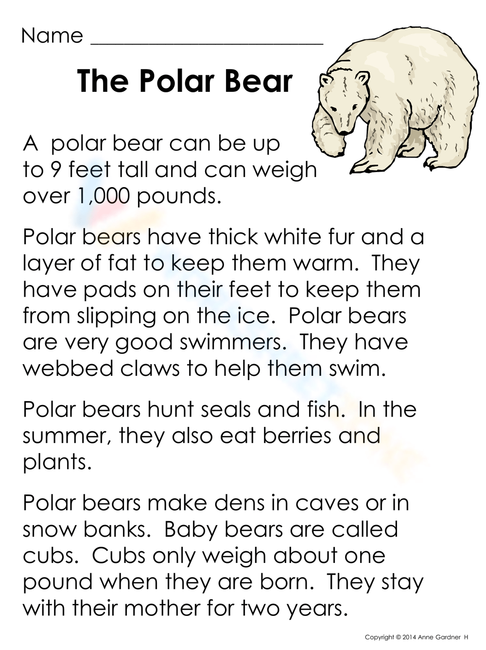 Arctic Animals The Polar Bear Worksheet Worksheet