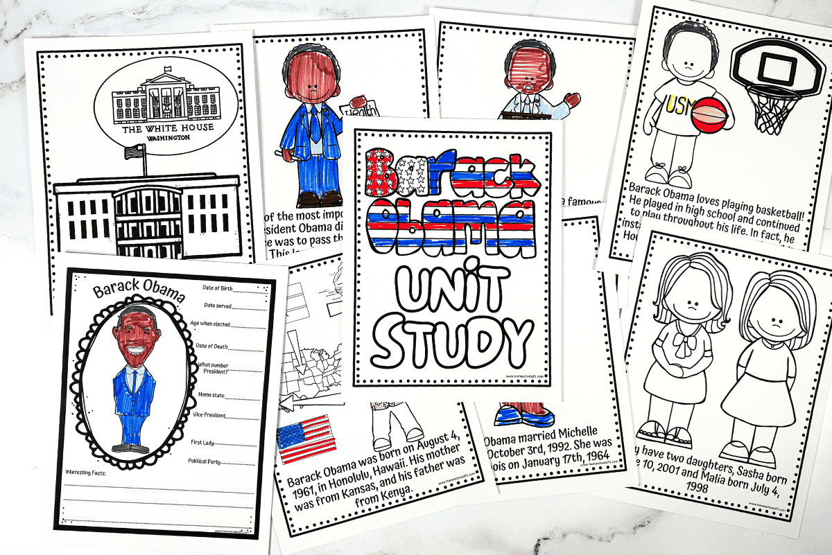 Free Printable Worksheets On President Obama