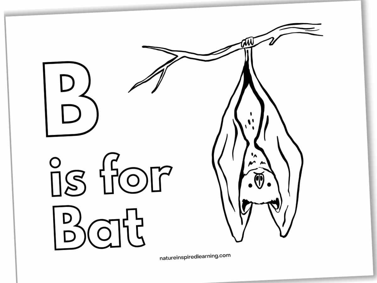 Bat Coloring Pages Nature Inspired Learning Bat Coloring Pages Nature Inspired Learning