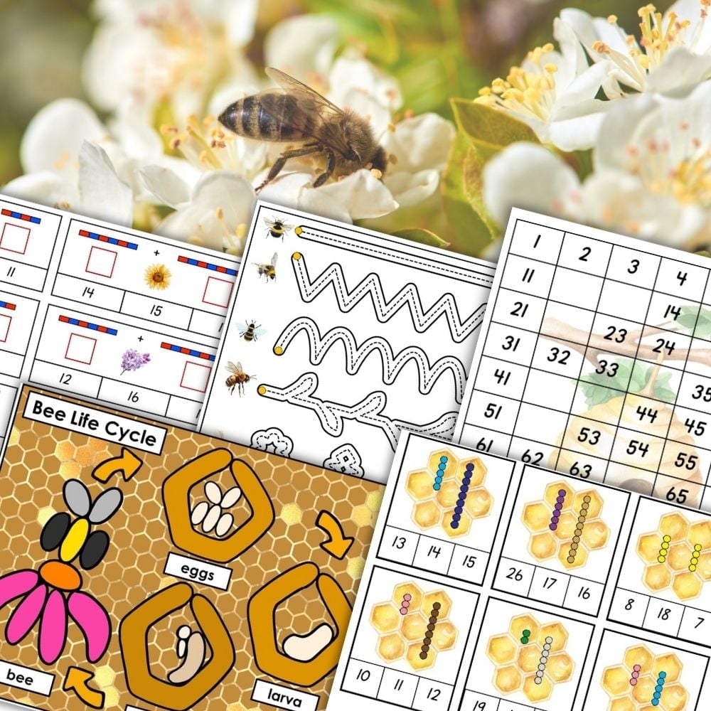 Bee Preschool Activities Life Cycle Play Doh Mats Montessori Nature