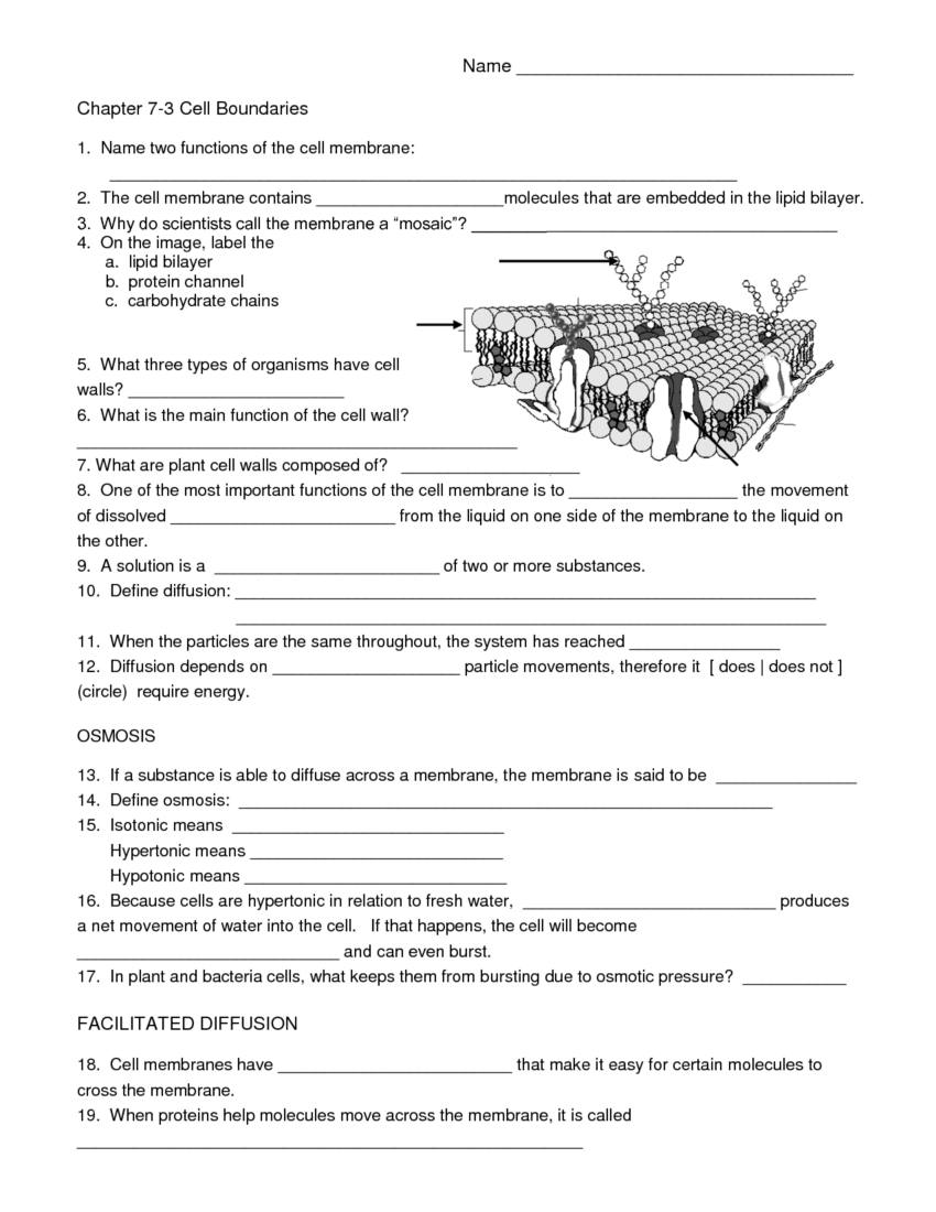 Biology Cell Worksheets Worksheets Library