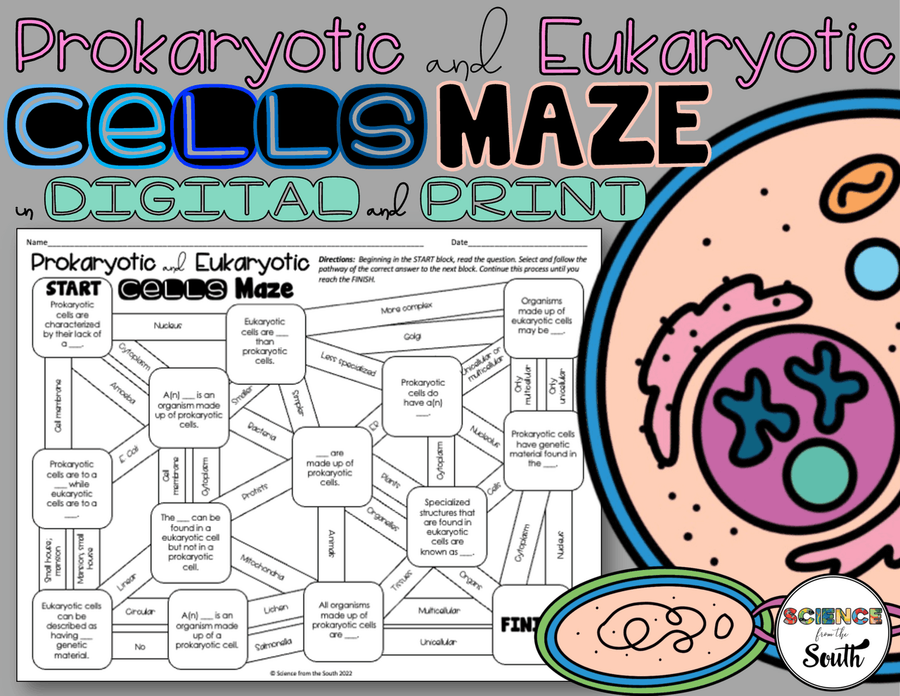 Biology Maze Freshmen Class High School Final Essays Biology Docsity