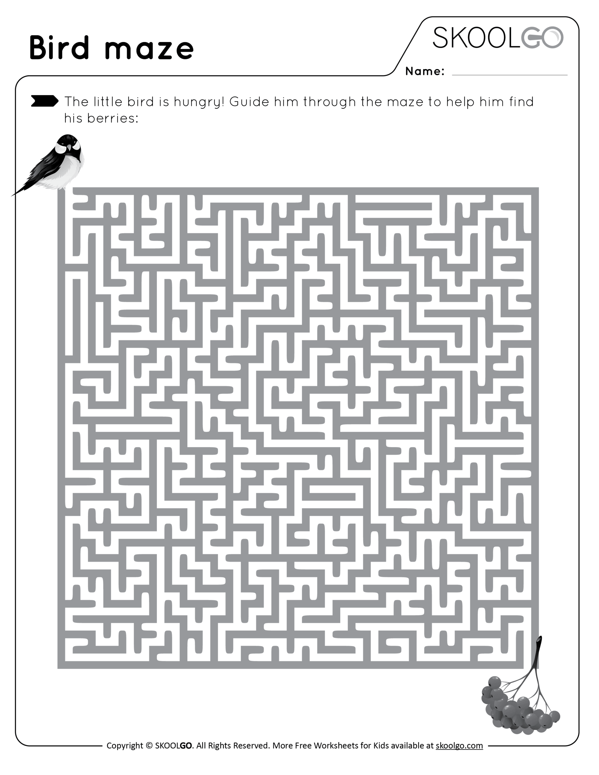 Bird Maze SKOOLGO Bird Maze SKOOLGO