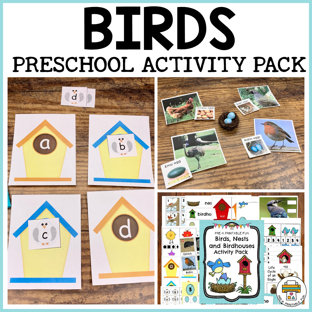 Free Printable Bird Worksheets For Preschool