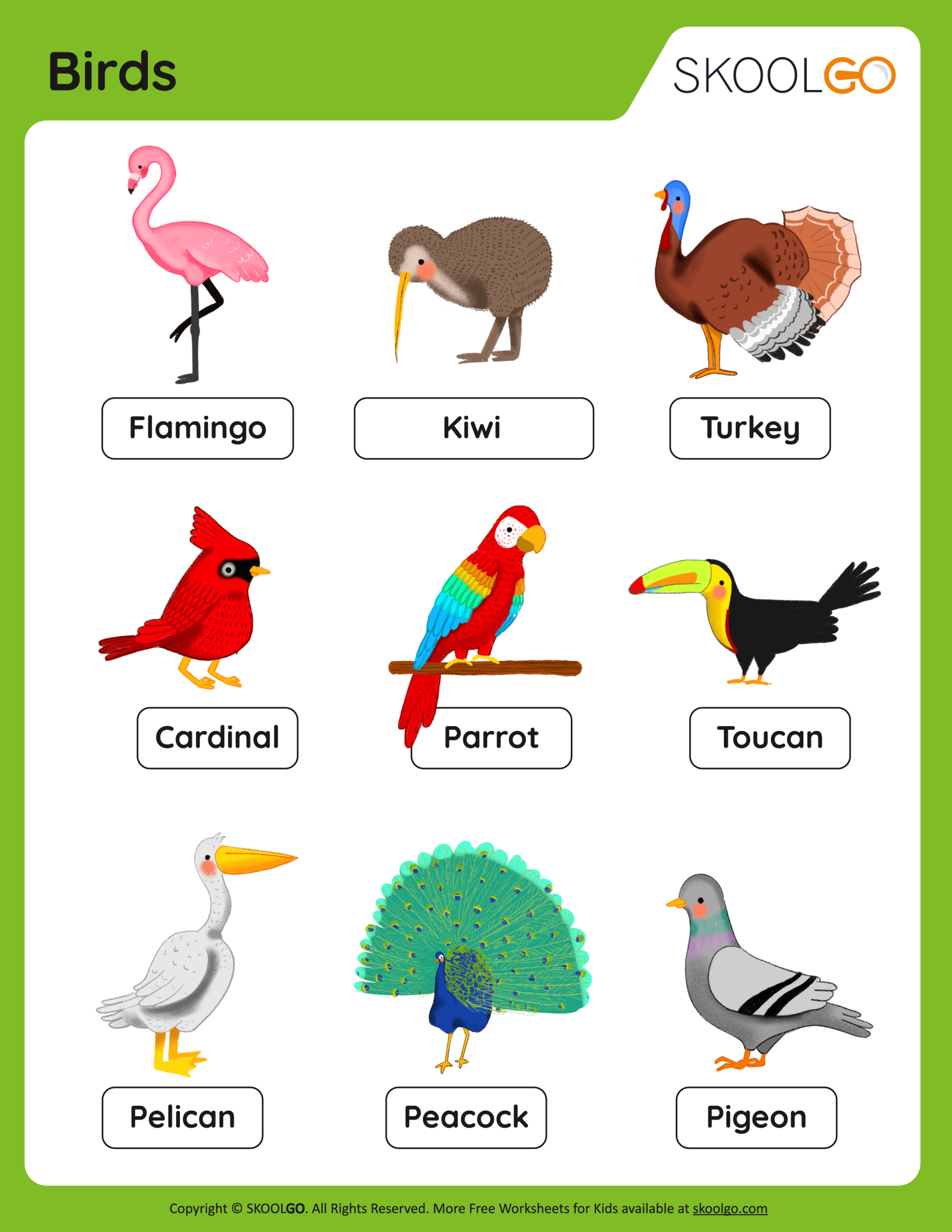 Birds Free Worksheet SKOOLGO Birds Free Worksheet SKOOLGO
